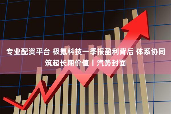 专业配资平台 极氪科技一季报盈利背后 体系协同筑起长期价值丨汽势封面