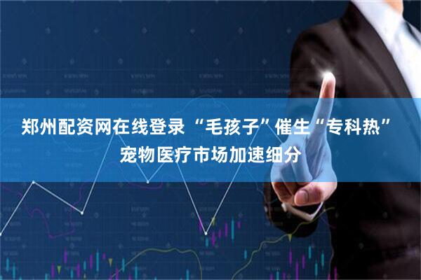 郑州配资网在线登录 “毛孩子”催生“专科热” 宠物医疗市场加速细分