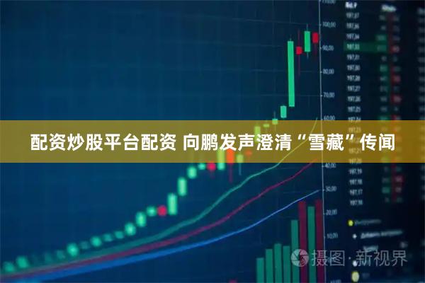 配资炒股平台配资 向鹏发声澄清“雪藏”传闻